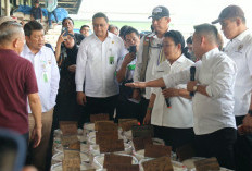 BULOG dan Komisi IV DPR Sidak Pasar Induk Cipinang, Stok Beras Melimpah dan Harga Terkendali