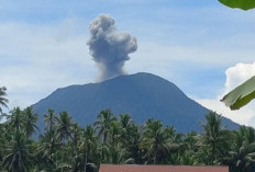 PVMBG Konfirmasi Gunung Ibu Erupsi Pagi Ini, Ketinggian Kolom Abu Capai 800 Meter di Atas Puncak