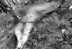 Misteri Mayat Terbungkus Sarung di Tanah Kosong Bintaro Terkuak, Ini Identitasnya