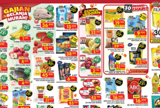 Katalog Promo JSM Superindo Terbaru 29 November-1 Desember 2024, Ikan Gurame Mulai Rp4 Ribuan