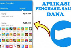 Viral! 10 Aplikasi Penghasil Saldo DANA Terbaik 2025, Cocok Buat 'Kaum Rebahan' Cuan Hanya Modal Scroll HP