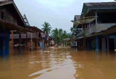 Banjir 2 Meter Rendam Kabupaten Mandailing Natal, 30 KK Mengungsi