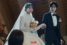Sinopsis Drama Korea 'No Gain No Love' Dibintangi Shin Min Ah dan Kim Young Dae, Kapan Tayang?