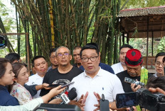 Ridwan Kamil: Kali Ciliwung Butuh Pentahelix untuk Solusi Lingkungan