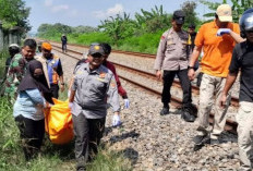 Pejalan Kaki Tewas Tertemper KA Argo Sindoro di Semarang, KAI: Masinis Sudah Bunyikan Suling Lokomotif