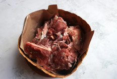Bolehkah Masak Daging Kurban dalam Kondisi Beku? Ini Cara Mengolah yang Tepat