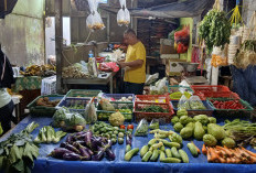 Kabar Baik! Harga Bahan Pangan di Pasar-pasar Kini Turun Drastis: Harga Cabai cuma Rp30 ribu per kilogram