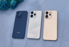 13 HP OPPO Terbaru 2026, Baterai Jumbo hingga Kamera 200MP,Mana yang Paling Worth It?