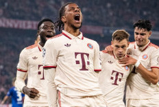 Hasil Liga Champions 2024/25: Bayern Munich 'Rudapaksa' Dinamo Zagreb di Allianz Arena