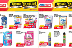 Katalog Promo JSM Alfamart Hari Ini 3 Mei 2026, Borong Soklin Lantai Rp7 Ribuan!
