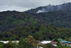 Pesawat Jatuh di Perbatasan Indonesia- Malaysia, Warga Lihat Asap Tebal Membumbung Tinggi