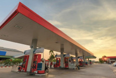 Daftar Harga BBM Pertamina 1 September 2026: Pertamax Turbo hingga Dexlite Naik!