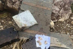 ELT ATR 42-500 Tak Beri Sinyal, KNKT Masih Telusuri Penyebab Hilangnya Kontak  