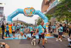 PAWJOG 9 Lanjut ke Kota Wisata Cibubur, Hadirkan Aktivitas Seru bagi 300 Pawrents dan Anabul