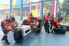 Percepat Evakuasi Korban Gempa NTT, Polisi Kerahkan 10 Anjing Pelacak