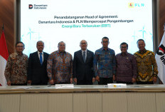 Resmi Teken Kerjasama dengan PLN, Danantara Indonesia Jajaki Peluang Investasi Energi Baru Terbarukan