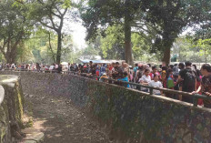 Pengunjung Ragunan Diprediksi Tembus 50 Ribu Saat Libur Natal