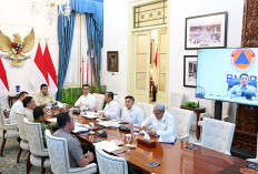 Cuaca Hambat Water Bombing di Kalimantan Tengah, BNPB: Karhutla 513 Hektare Dipadamkan dari Darat