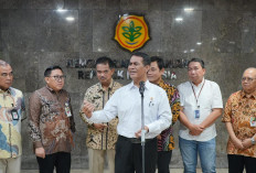 Stok Beras Aman, BULOG Ungkap Cadangan Beras Pemerintah Diproyeksikan Cukup Hingga 324 Hari