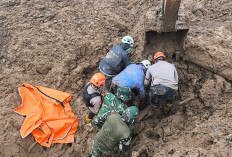 BNPB Catat 28 Bencana Alam dalam Dua Hari, 185 Rumah Terdampak