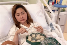 Inul Daratista Pingsan dan Dirawat Intensif di RS, Leukosit hingga Parasit Tinggi 