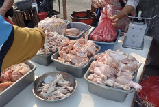 Kebutuhan Daging Ayam di Jakarta Melonjak 10,77 Persen Jelang Lebaran, Harga Ikut-ikutan Naik