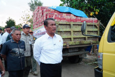 Bapanas Siapkan Rp1,2 Triliun untuk Bantuan Pangan Korban Gempa NTT