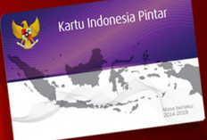 Takut Daftar Ulang Penerima PIP Dicabut? Begini Tips Menghindarinya