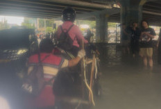Jasa Ojek Gerobak, Jadi Penyelamat Pemotor Terjebak Banjir di Perempatan Puri