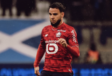 Calvin Verdonk Sudah di Liga Champions, Emil Audero Menyusul? Ini Peluang 2 Pemain Timnas Indonesia