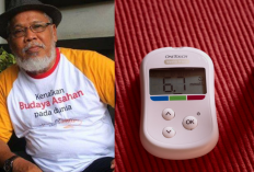 Dorman Borisman Meninggal Dunia, Sempat Alami Diabetes, Stroke, hingga Kaki Diamputasi