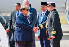 Prabowo akan Bertemu Raja Belgia dan Presiden Komisi Eropa, Buka Negosiasi IEU-CEPA