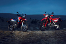 AHM Hadirkan New CRF250 Rally dan New CRF250L dengan Desain dan Fitur Baru