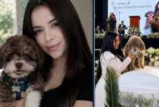 Kisah Lenny Ruiz Fernández, Pengacara Asal Pasto yang Ditemukan Bersama Anjingnya Usai Gempa Kolombia