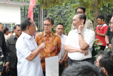 Mendagri Siapkan SE, Bayi Lahir di Luar Faskes Bisa Dapatkan Akta Kelahiran Digital