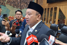 Komisi X DPR Minta PJJ Imbas Abu Vulkanik Anak Krakatau Disesuaikan Kondisi Daerah