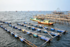 5 Wisata Pantai Terdekat dari Bekasi yang Murah Meriah untuk Liburan Nataru, View Eksotis Manjakan Mata!