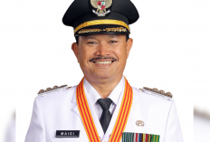 Rekam Jejak Karier Maidi Wali Kota Madiun yang Kena OTT KPK, Jadi Sekda Hampir Satu Dekade