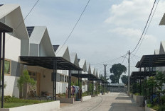 Ini Rahasia Cara Beli Rumah Lewat Lelang Bank dengan Harga Miring