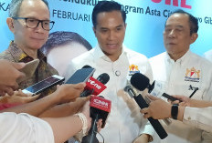Kadin Tentang Transisi Energi: Indonesia Negara yang Bagus untuk Investasi