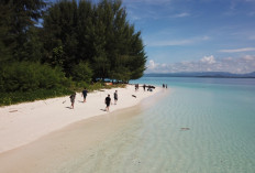 Rekomendasi Wisata Morotai Maluku Utara, Jelajahi Indahnya Pantai Daloha yang Dijuluki Surga Tersembunyi