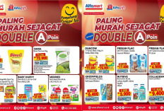 Promo Alfamart Terbaru Hari Ini 17 Desember 2024, Minyak Goreng Bimoli Cuma Rp38 Ribuan