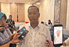 Pelecehan Seksual Kampus Kian Marak, Wamen Fauzan Buka Suara