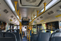 Jelang Kenaikan Tarif Transjakarta, Pengamat Soroti Pentingnya Kualitas Layanan Transportasi Umum