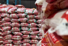 Malaysia Minta Beras RI hingga 200.000 Ton, Bulog Ungkap Kendala Pengirimannya
