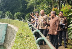 Buka Wisata Malam Hari, Pengunjung Ragunan Tembus 40 Ribu Saat Akhir Pekan