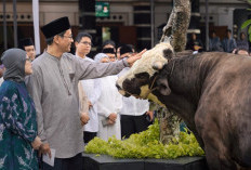 Salat Iduladha di DJP, Menkeu Purbaya Serahkan Sapi Kurban dan Singgung APBN untuk Kelompok Rentan