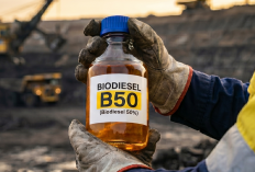 Mengenal Biodiesel B50, Bahan Bakar Baru Ramah Lingkungan yang Diluncurkan Prabowo