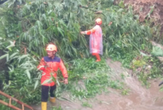 Akibat Tanah Longsor di Sukabumi, Akses Jalan Menuju Palabuhanratu Terputus