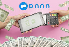 Langsung Cair Rp250.000 ke Dompet Digital, Begini Cara Aktifkan DANA Paylater di Aplikasi